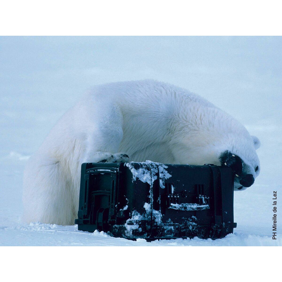 V3H8540548E4A97F62ECF51BD17CCD53EDER7121723P5