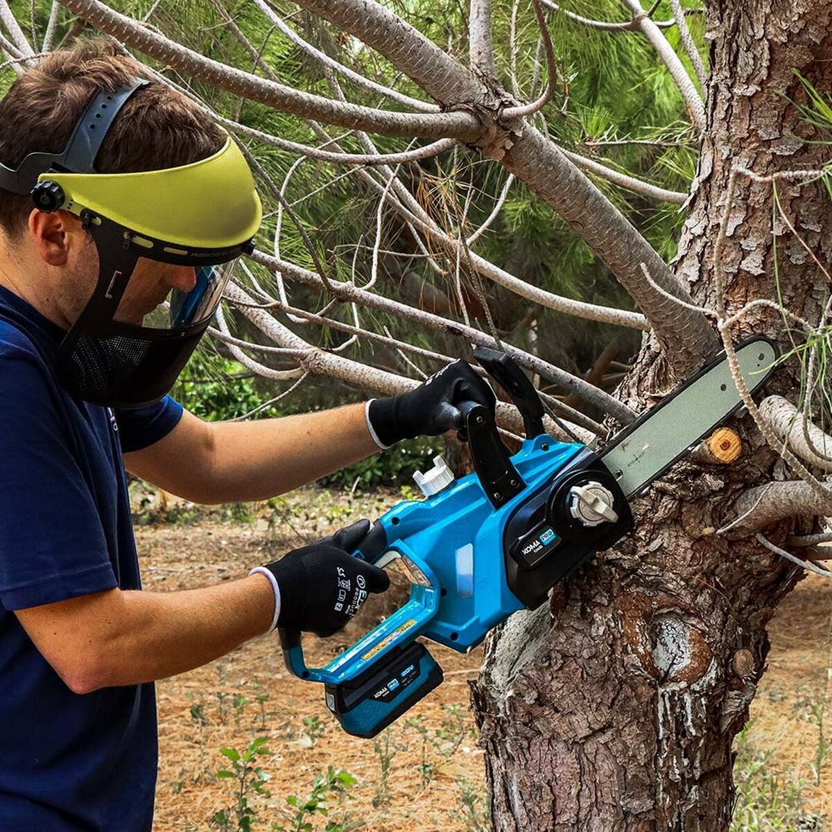 V9H587A9C191C89666C9A5FD23476FDCA6ER5157156P6