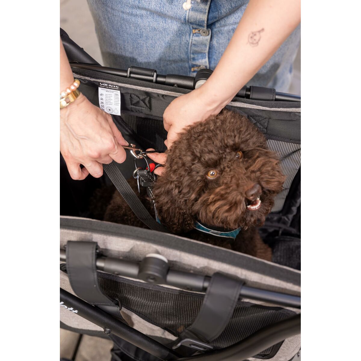 V3HAE2BF44DE0E8CBF2900F55603A1654E0R6716261P5