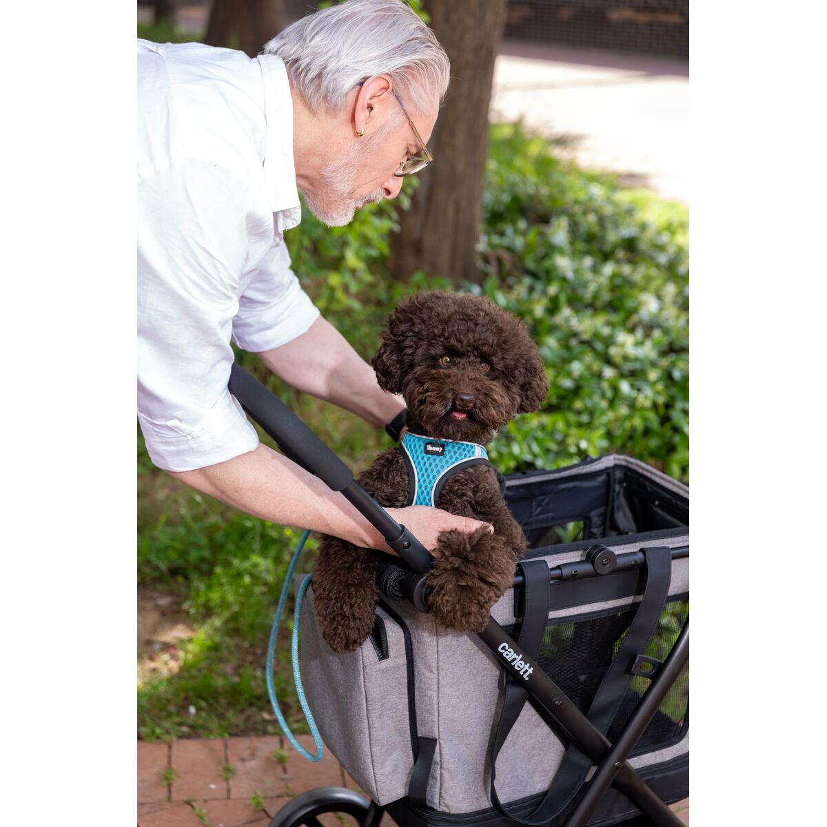 V3H7A630081A22F85A342C38BD4920AF22AR6716266P4