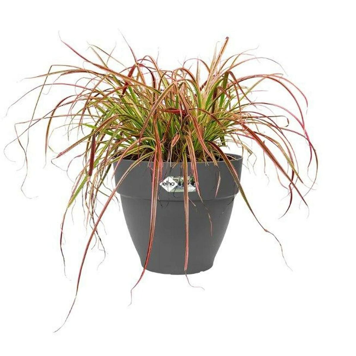 V7H9E412823EDFDE72298847AC404C4E0FER4008050P2