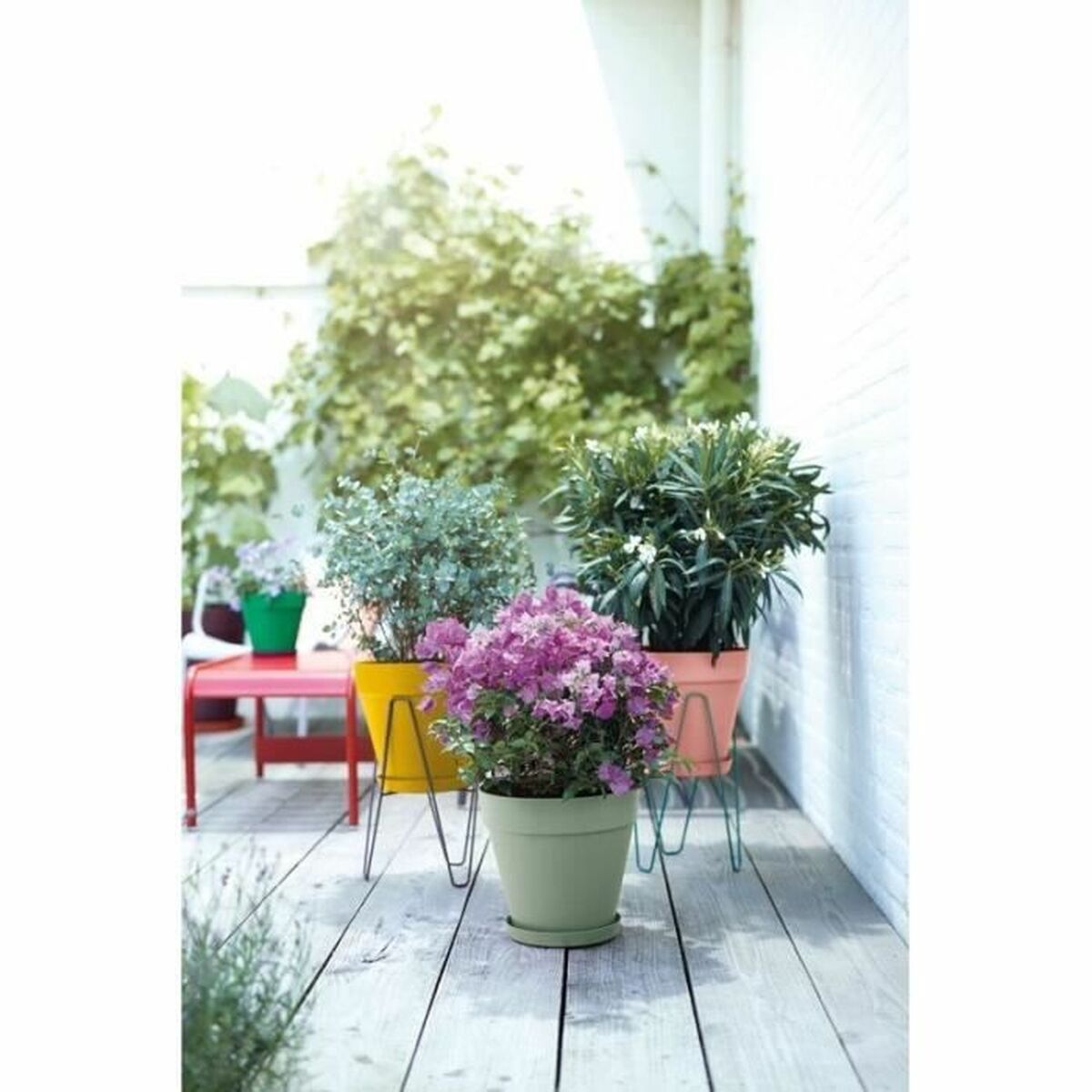 V8HF1BD483746D8234AD9B7AA969EF1F514R3441363P6