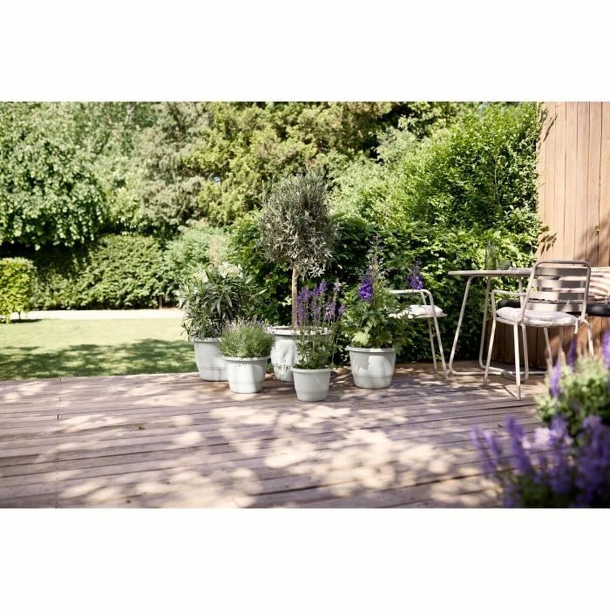 V4H00BE6A1B05BB125AE78CF401D802DF74R5529044P5