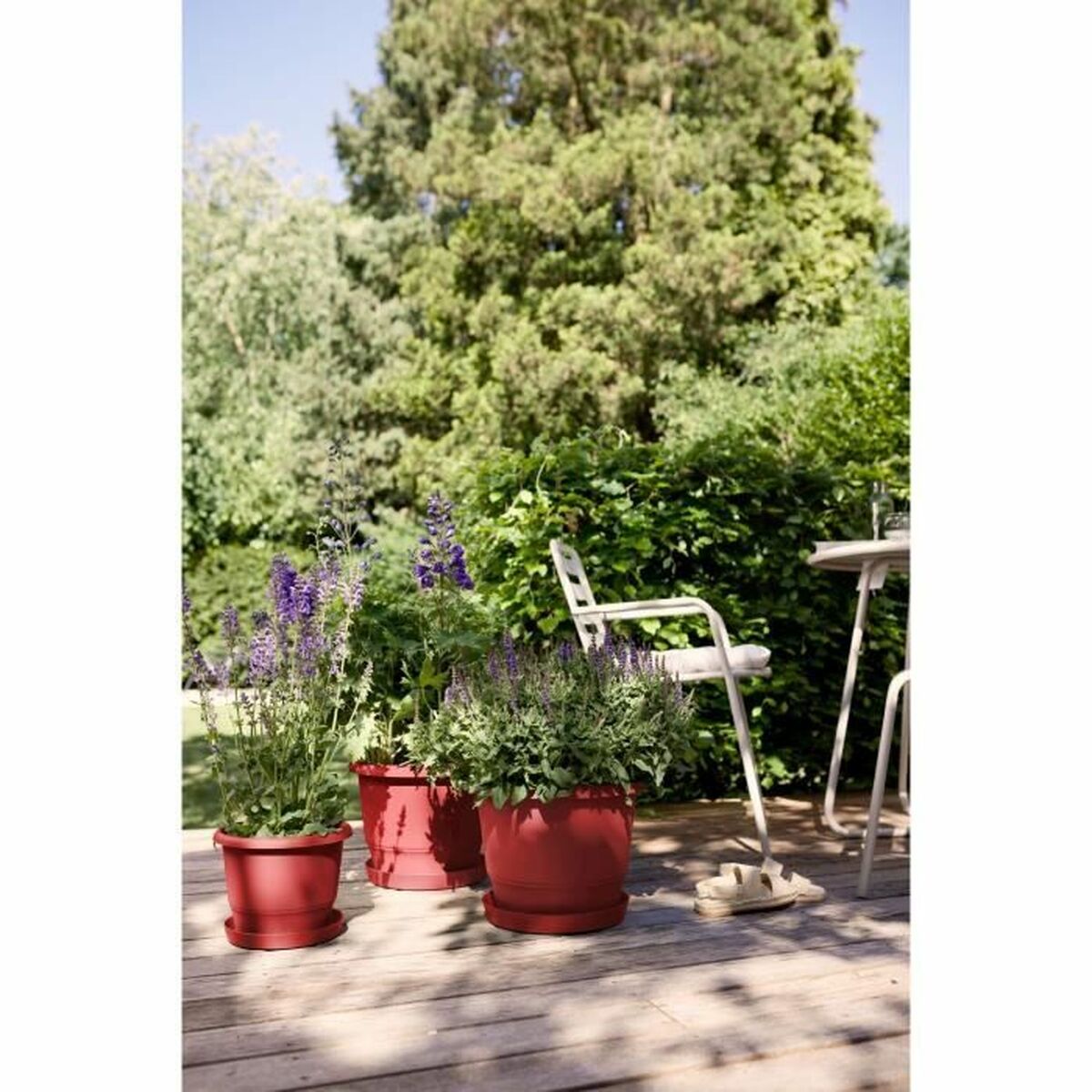 V4HE44A8E1DC86E6686269B2631FE8B9E46R5529090P2