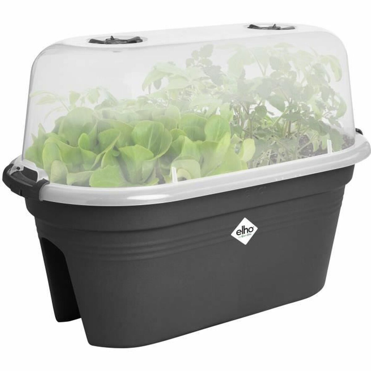 V4HA6BB6907683FD17D28ACC46514B3E8AAR5529051P2