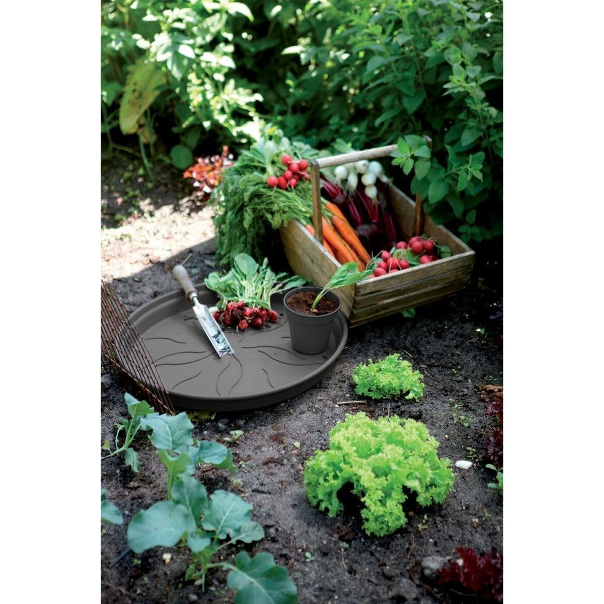 V3H9F7B48D9CB451DD73017242CF8073AC4R7039936P3