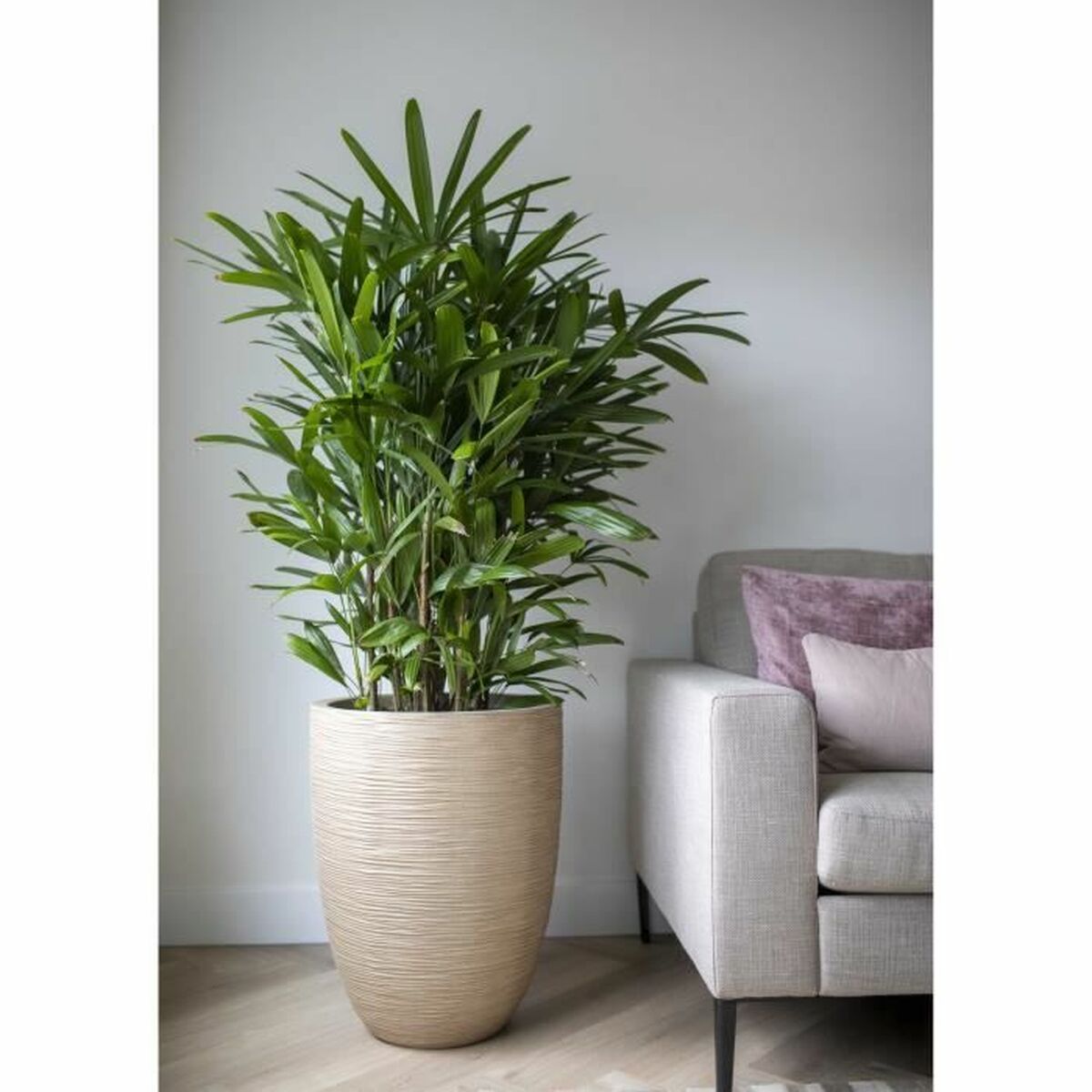 V5H9125989C541FB3F4EBA5BF27A710C3EFR5081461P2