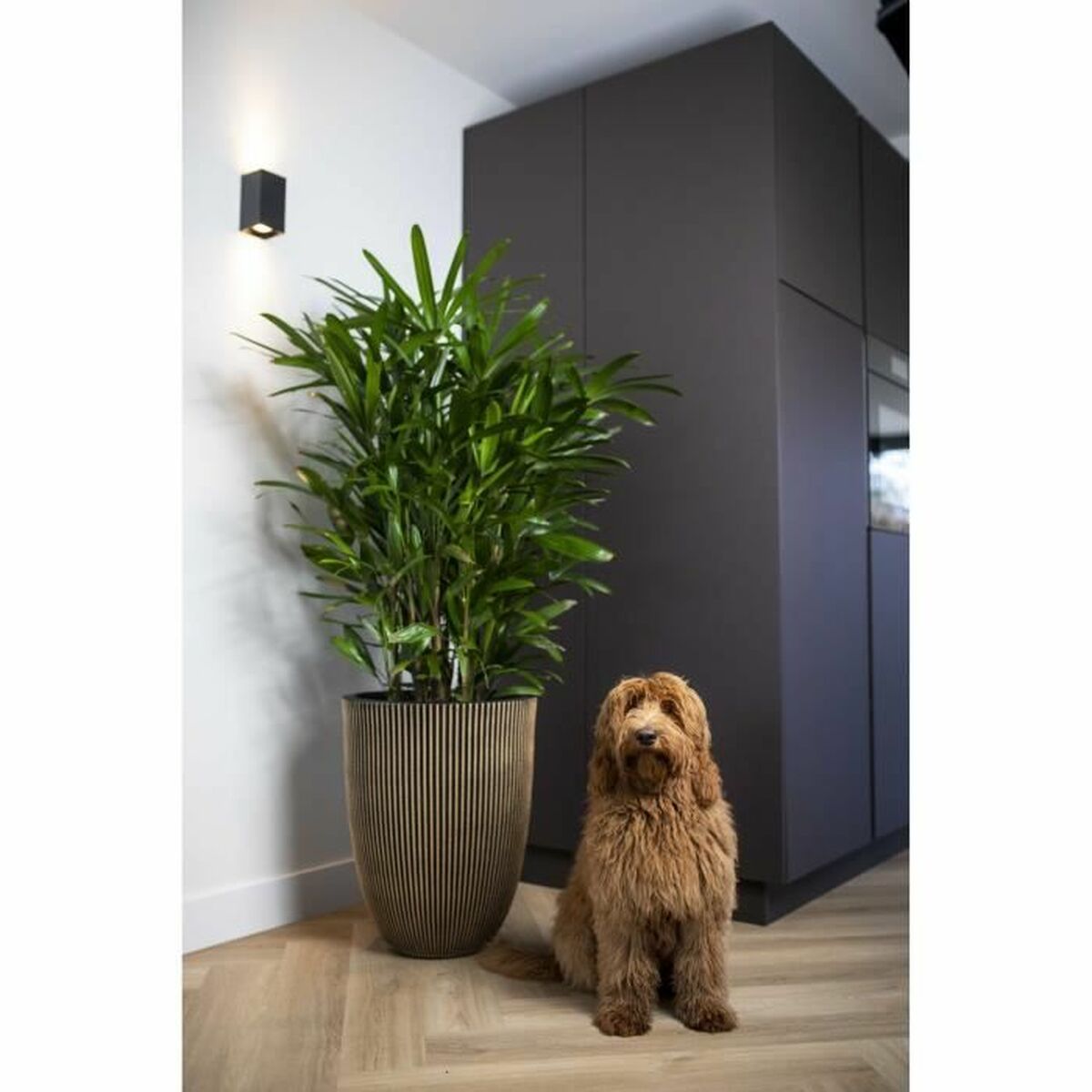 V5H2DD4D07B392C2055E4E79288413B982DR4917092P3