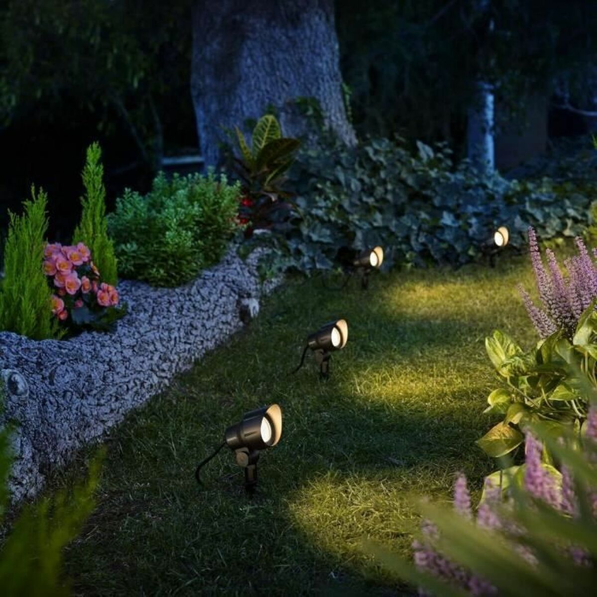 V5HE78CFB6E2386585568FF63A1BA520515R4269056P3