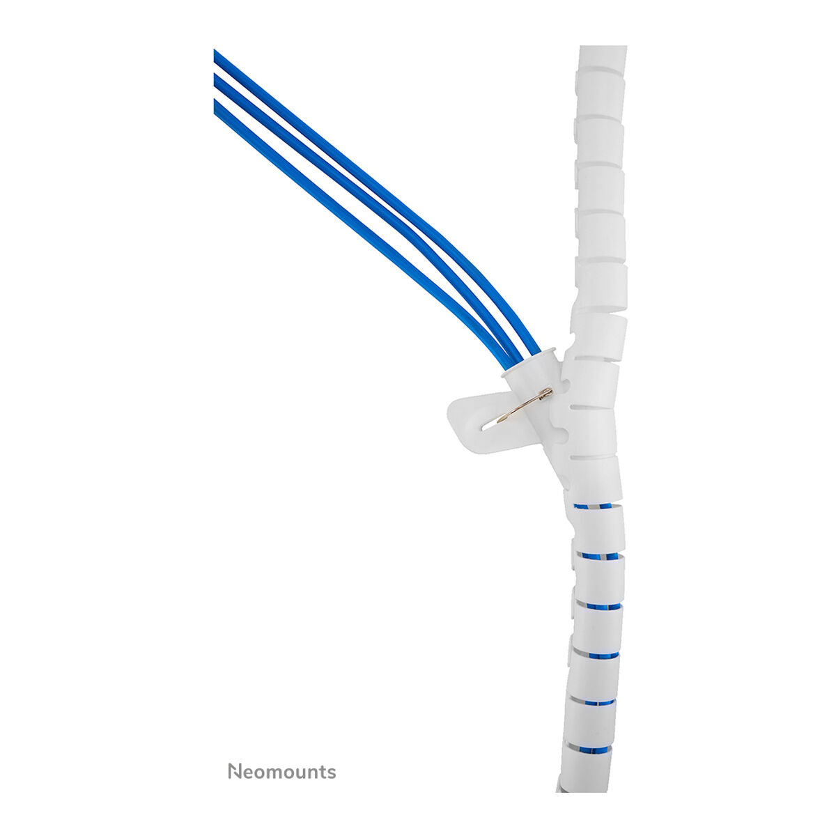 V3H89D2DAEBCB1D6DF67ED81B5A65002B66R7356326P6