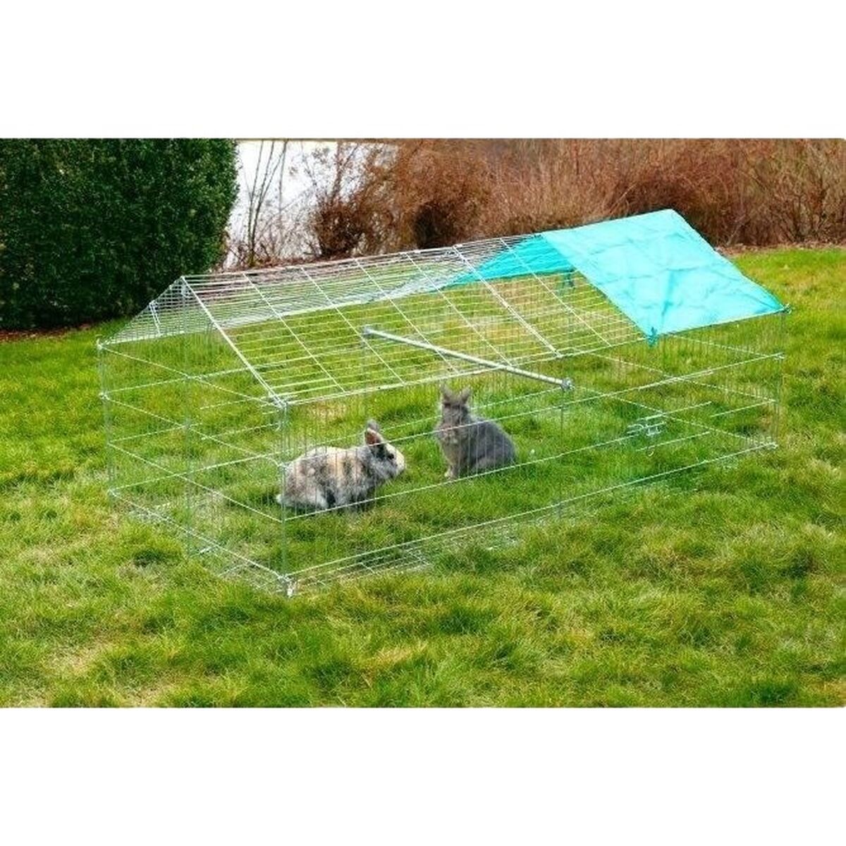 V5H866F63642A2638D5047189600DEA778ER5568400P2