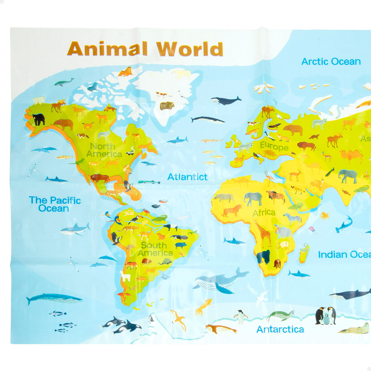 V3H8053406B3873F006E7059D21FB975ABDR7514074P4